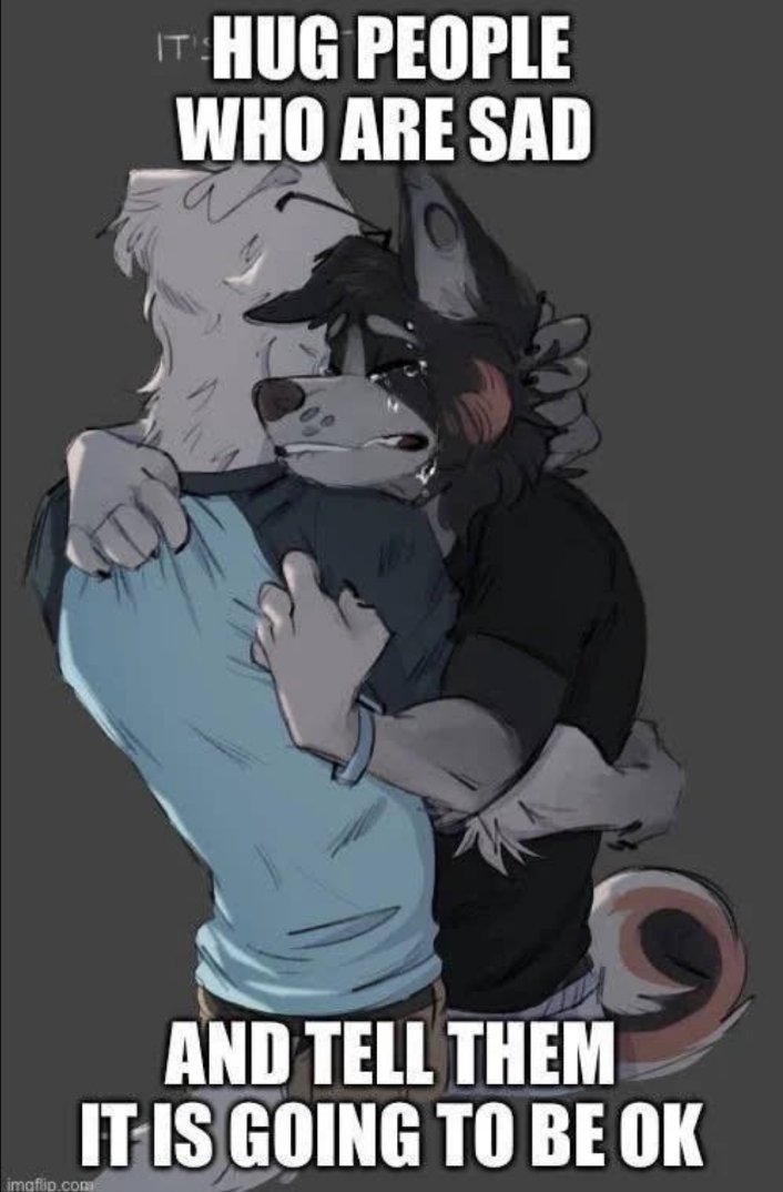 JustLazy tweet media