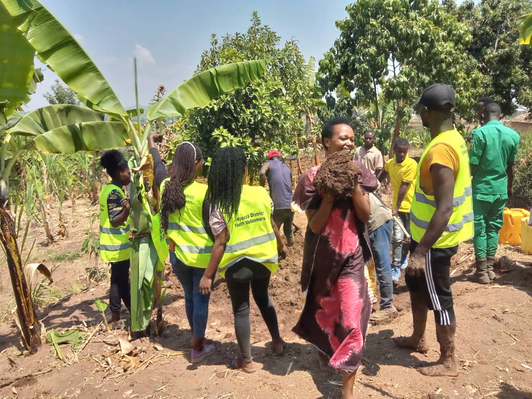 nycnyanza's tweet photo. Uyu munsi #urubyiruko rwo mu @NyanzaDistrict umurenge wa Kigoma mu kagali ka Butansinda bakoze umuganda wo kubumba amatafari angana na 203 yo kubakira umuturage witwa Ntihabose Eliabo, utuye mu mudugudu wa Butansinda. @MiniYouthRwanda @RwandaYouth @RwandaYouthVol1 https://t.co/MBB51RPOh5