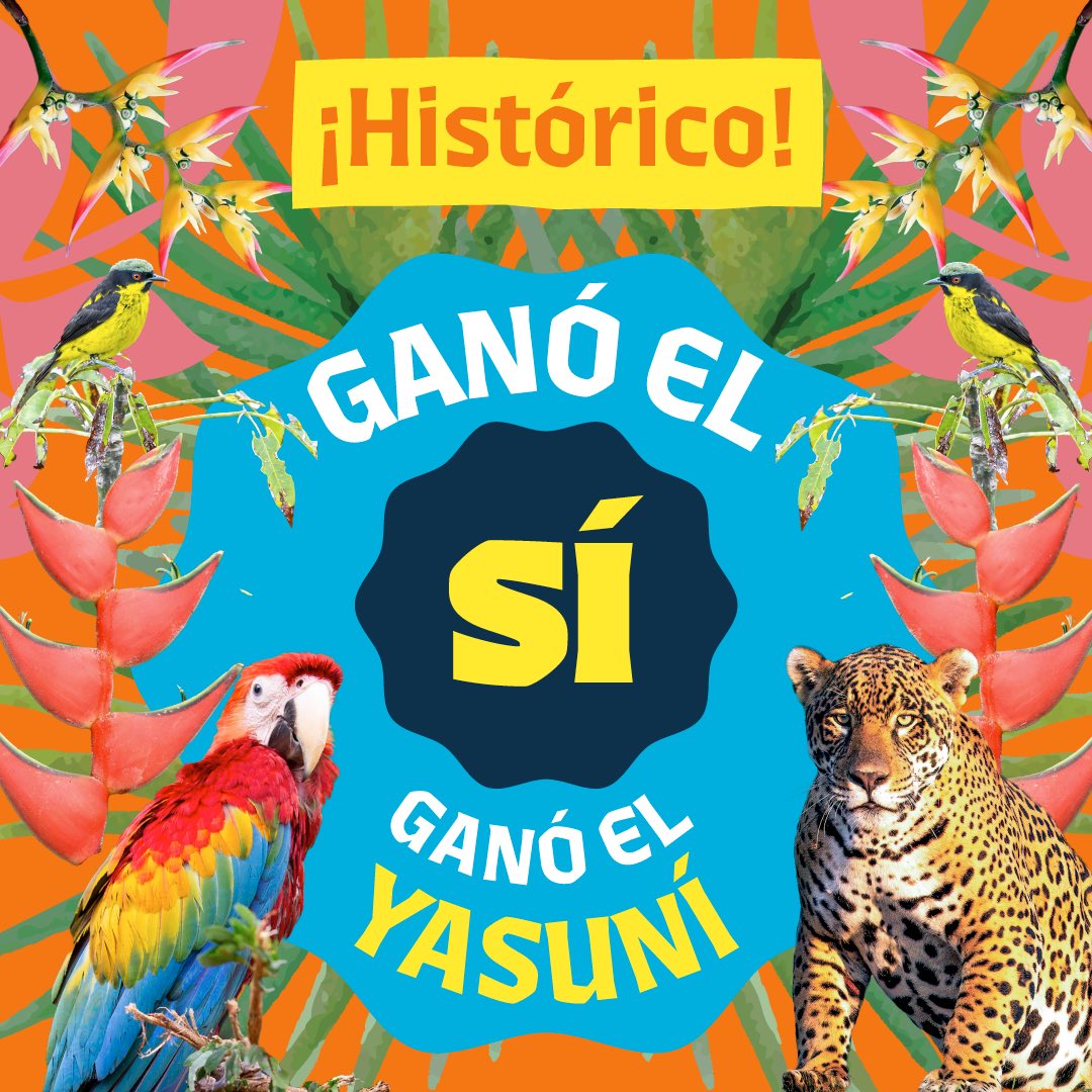 DeudaxClima's tweet image. 🚨 Una victoria histórica para Ecuador y para el Planeta! Si al Yasuní! 🇪🇨🌎

Se logró la Consulta Popular a favor de mantener el petróleo bajo tierra preservando a los pueblos indígenas y la biodiversidad

#SÍalYasuní #EcuadorDecidioSiALaVida #LaDeudaEsConLosPueblosYLaNaturaleza