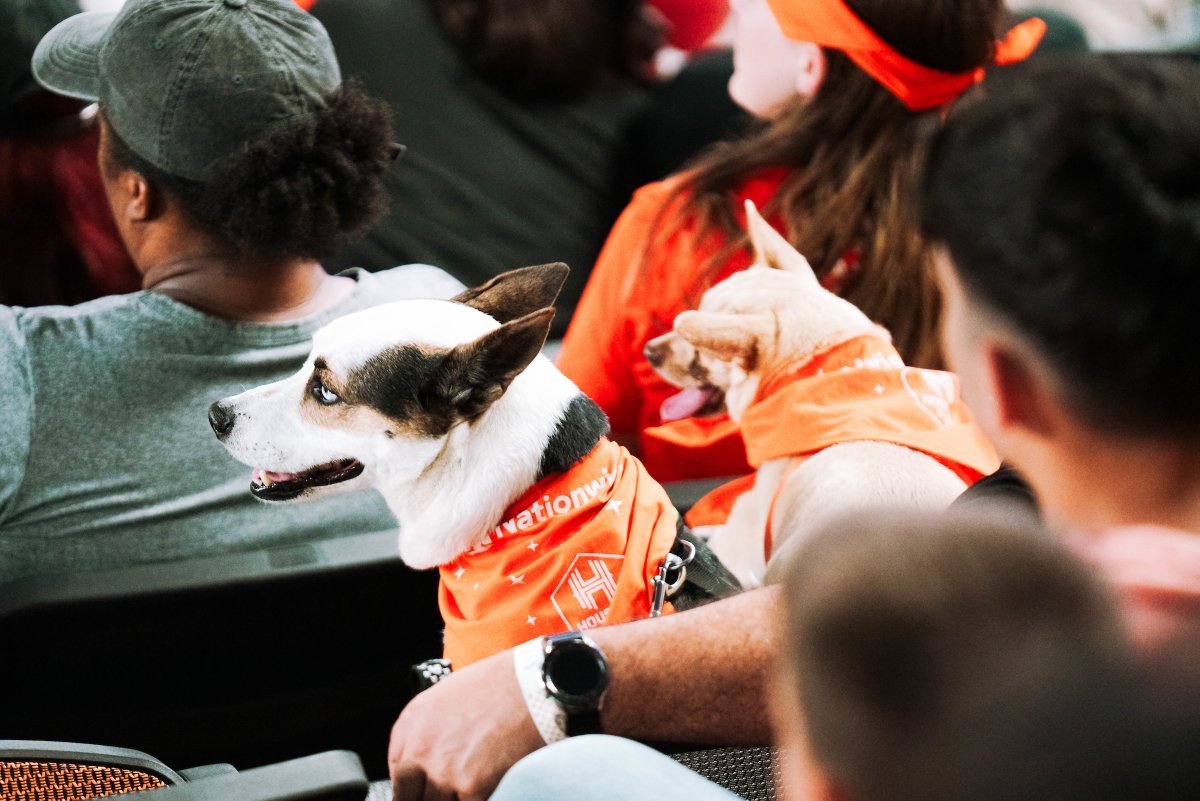 HoustonDash's tweet photo. Still thinking about all the pups that made it to Shell Energy Stadium last weekend 🐾

#DTFO https://t.co/V2i2mKLTFm