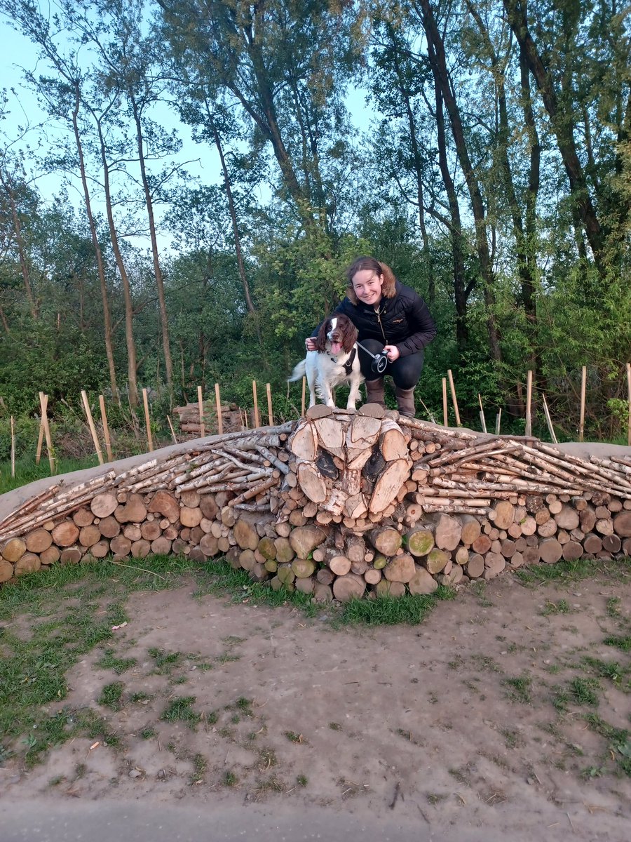 stephers_20's tweet photo. @HelixFalkirk Caitlin and Flash like the owl! Flash especially like to sniff and see of there is any wee creature's living inside it x https://t.co/78Pj56OfpM