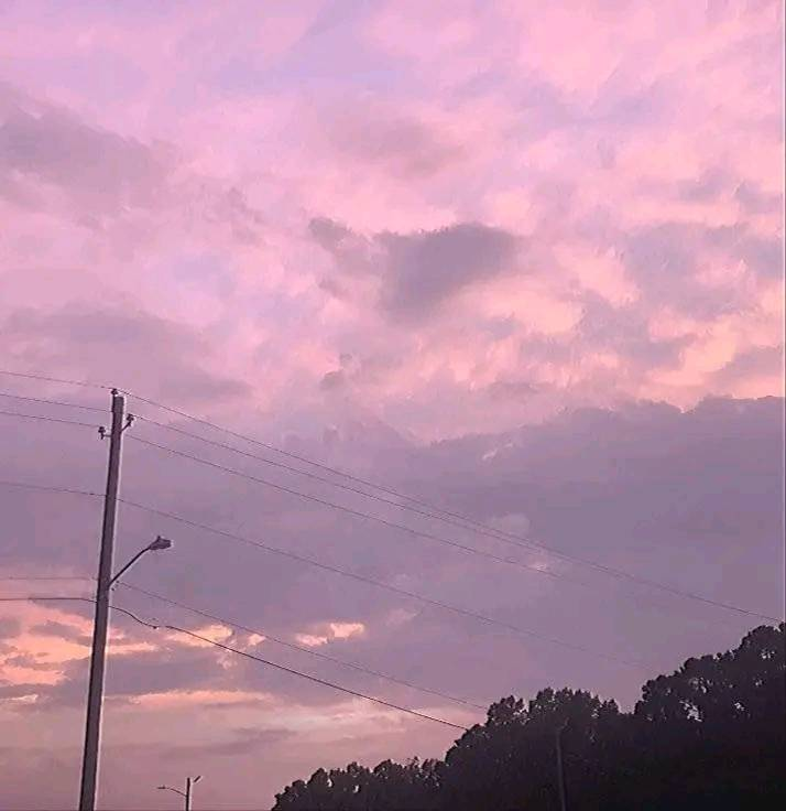 artindetails's tweet photo. pink skies https://t.co/qqVUQNzymW