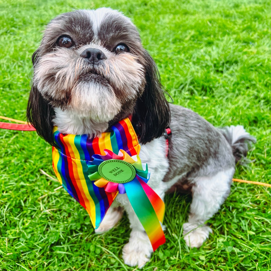 It was our honour to sponsor #WarwickshirePride in Leamington Spa over the weekend! 🏳️‍🌈  

🌈 Our team loved being part of the parade, representing the local games industry, and feeling the love on the day! It’s a genuine honour to work with such a brilliant and diverse team, and