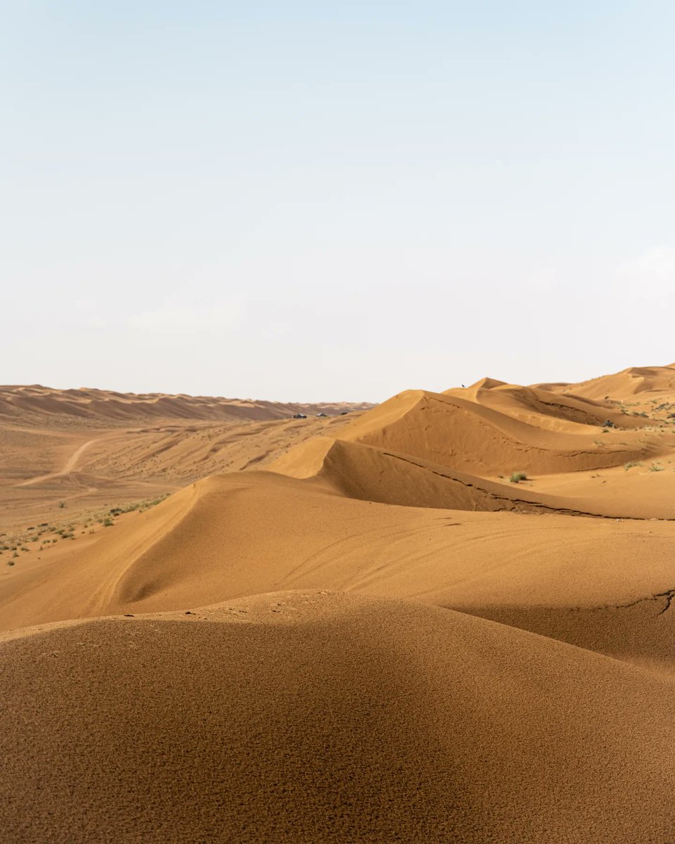 Desert vibes 

#NFTCommunity #NFTs #nftphotography #NFTart
