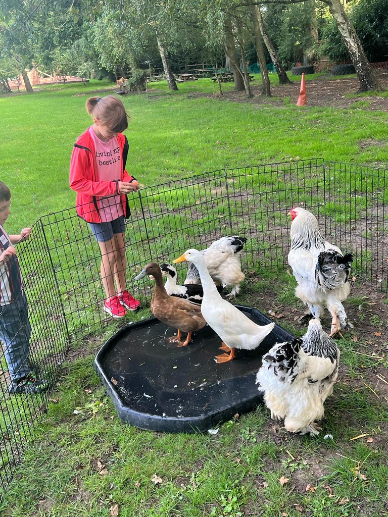 BeehiveOf's tweet photo. A wonderful day today with Basil And Crew Mobile Farm!
The children have had the best time feeding, holding and grooming the animals - what a fabulous way to start the week!

#SummerHolidayClubs https://t.co/O2G2vkeFJD