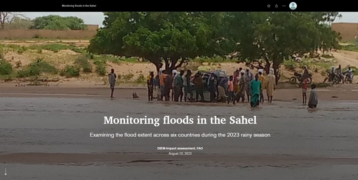 Flooding has impacted countries across the Sahel. In order to understand the impact of the flood extent, #DataInEmergencies regularly monitors satellite images in Nigeria and countries nearby.
Learn more about the extent of the floods in this #StoryMap 👉bit.ly/47RbD3A