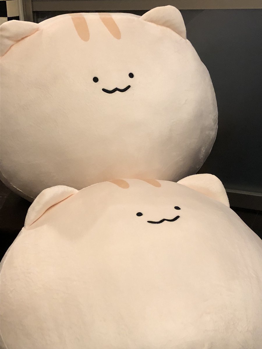 sekimarugoof's tweet photo. 増えた https://t.co/ONmFIjNce3