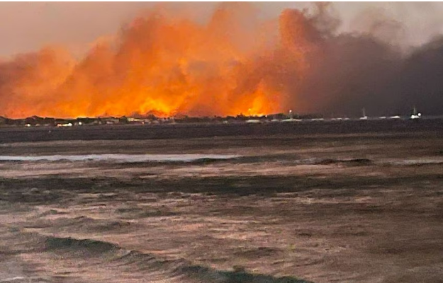 EcoPlum's tweet image. Brands Rally to Bolster Maui in Wildfire Relief Effort, including #BCorps @Intreprid_Travel and footwear brand @OluKai. See ways you can help, too. via @SustainBrands ⬇️#wildfires 🔥 #Hawaii #brands #CSR #giving #donations 💸 #community 
sco.lt/4yGglc