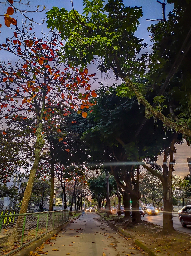 sulacapnews's tweet photo. JARDIM SULACAP | FOTO DE MORADOR
Foto dessa manhã na Avenida Alberico Diniz.
#SulacapNews #sulacap #jardimsulacap #valqueire #magalhaesbastos #realengo #zonaoeste https://t.co/gaPqtCjTHS