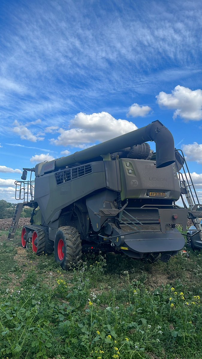 Guy Taylor tweet media