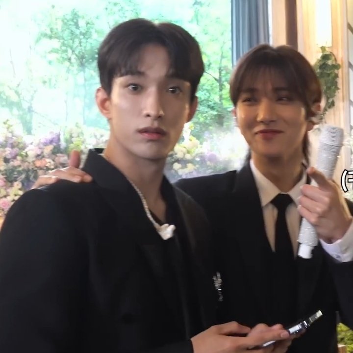 the way shua looks at dk 🫀
