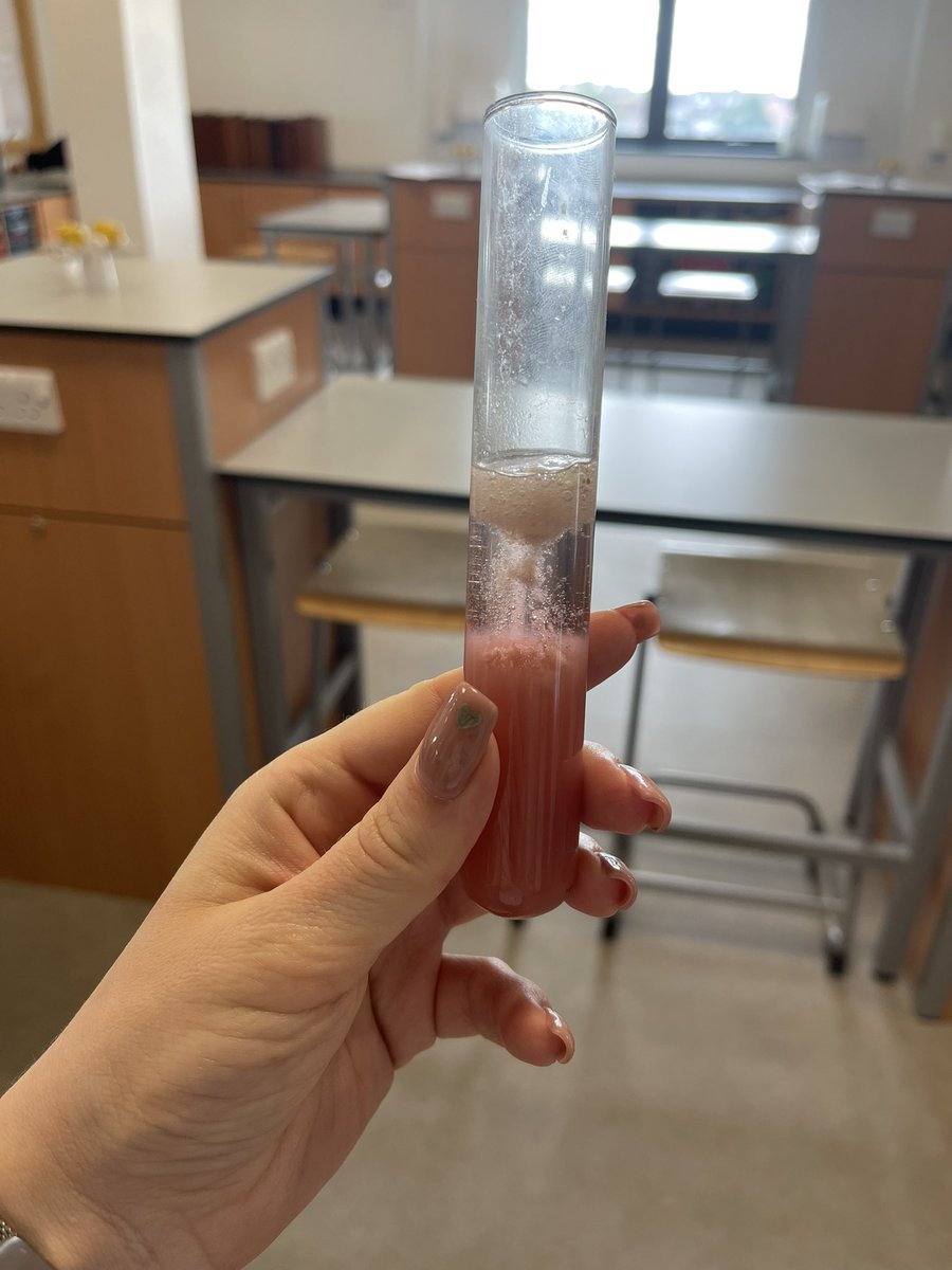 Miss Graham👩🏼‍🔬✨ tweet media