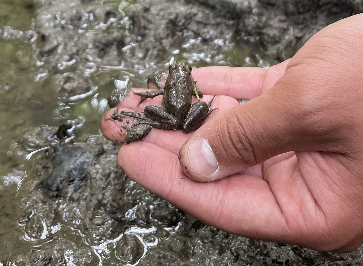 Heritage Conservancy tweet media