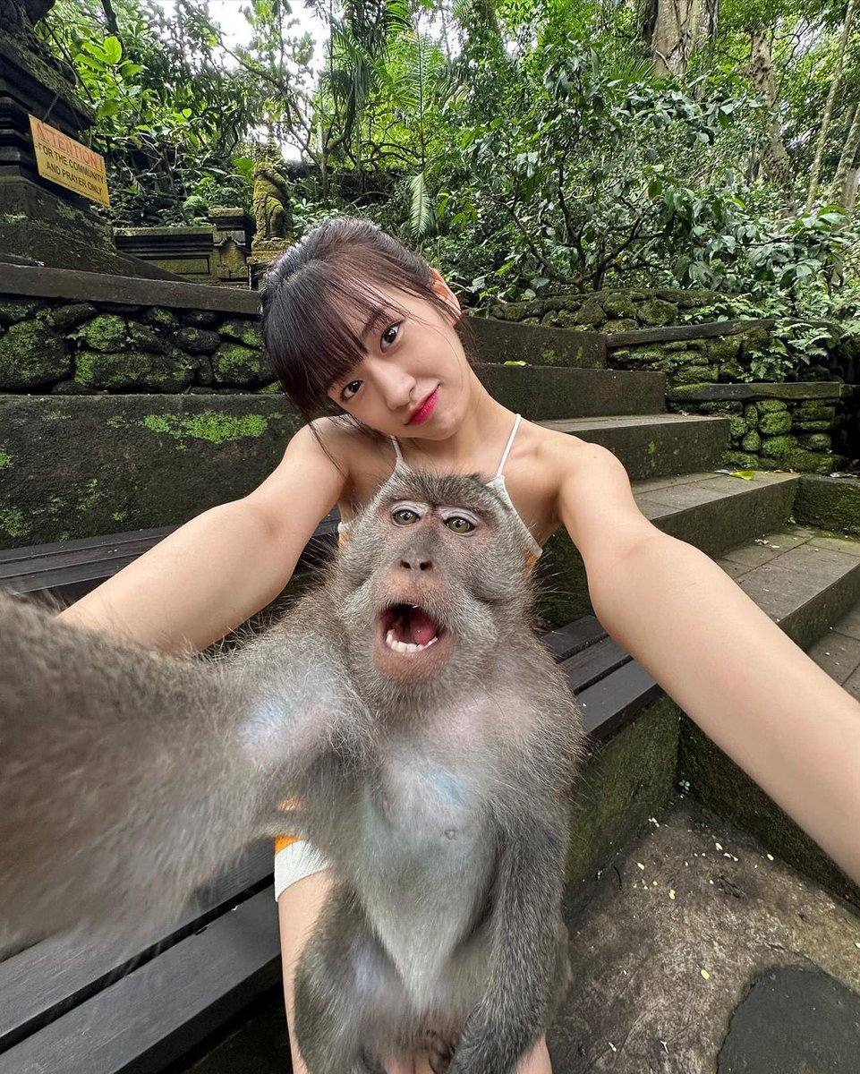 yuddinxgive's tweet photo. ──☆   𝙁𝙚𝙚𝙡𝙞𝙣𝙜 𝙘𝙝𝙚𝙚𝙠𝙮 𝙡𝙞𝙠𝙚 𝙖 𝙢𝙤𝙣𝙠𝙚𝙮 🙊

Shoot them, but with a camera. 📸 Say hello to my new best friend! Save Monkey, Save life… Save planet 🌎 https://t.co/N5SgMg1JhH