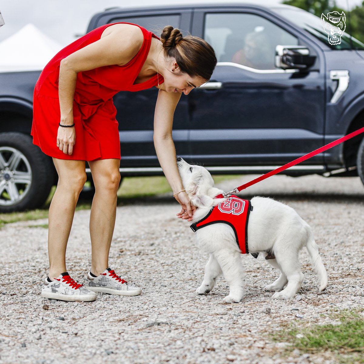 NC State Athletics tweet media