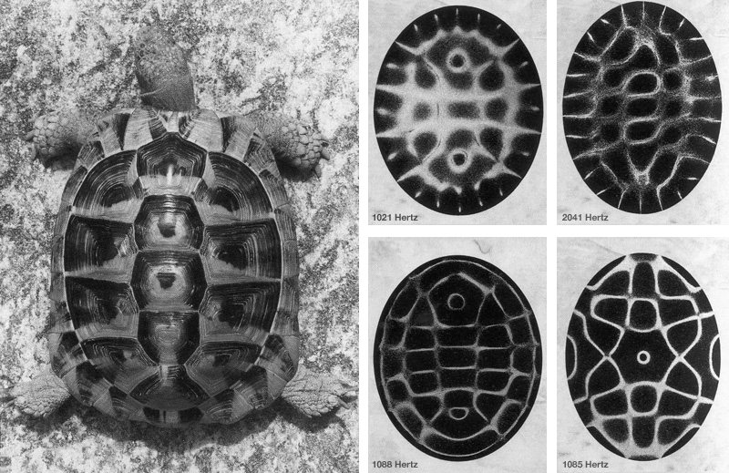 0ccultbot's tweet image. 