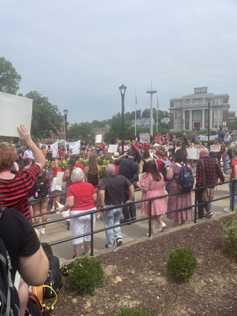 Amelia Knisely tweet media