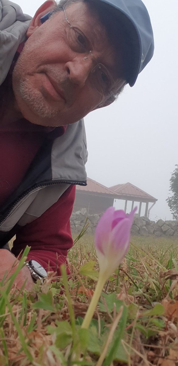 serefoguz's tweet photo. İŞARET GELDİ
Yayladan iniş zamanının ilk işareti bugün geldi.
Kulübemin yanında ilk VARGİT ÇİÇEĞİ açtı.
Şimdi kulübeyi kara kışa hazırlayacağım.
Vaktidir yola çıkmağın... Vargit'in mesajı net; "burası artık sana ait değil. Var git yoluna... Yol açık, yola çık. #vargit @serefoguz https://t.co/mDEXpYHrZr