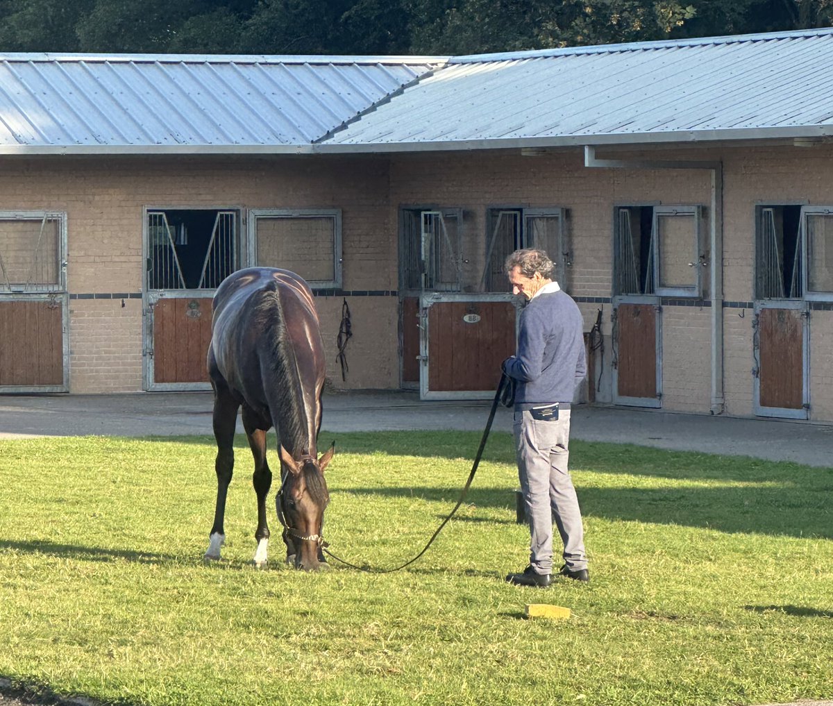ConorCNorris's tweet image. The 2 best trainers out there and proper horsemen with it.

@ArizkorretaR with Rodaballo after his creditable run finishing 6th in the Hungerford stakes 19th August.

And @MarcoBotti with Ardakan upon returning from Duabi after finishing 4th in the Dubai gold cup 25th March