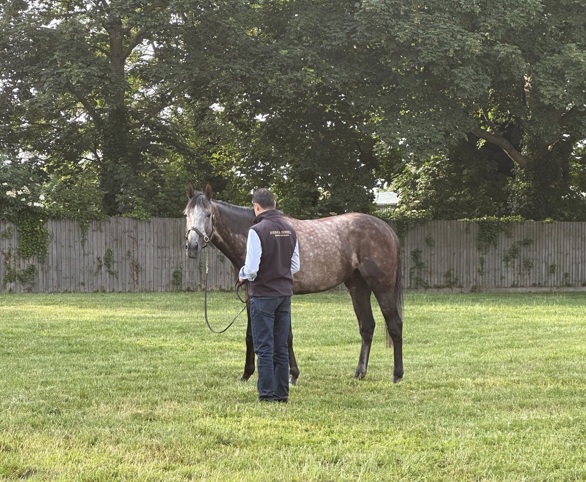 ConorCNorris's tweet image. The 2 best trainers out there and proper horsemen with it.

@ArizkorretaR with Rodaballo after his creditable run finishing 6th in the Hungerford stakes 19th August.

And @MarcoBotti with Ardakan upon returning from Duabi after finishing 4th in the Dubai gold cup 25th March