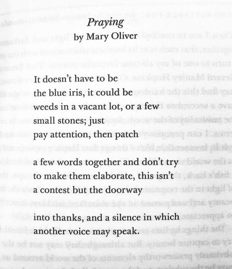 Victoria Lothian (@lothianvictoria) on Twitter photo 