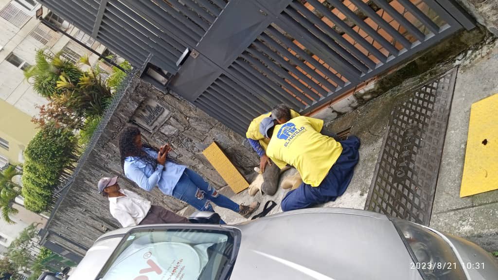 ASOOCHO's tweet photo. Agradecidos con la cuadrilla de aguas de la alcaldía del Hatillo @eliasayegh @ServiciosEH @Victor25Lira 

Los Pinos Calle B, Resd Miraflores, sustitución de junta dresser hg de 2" https://t.co/9DhQWX8lN9