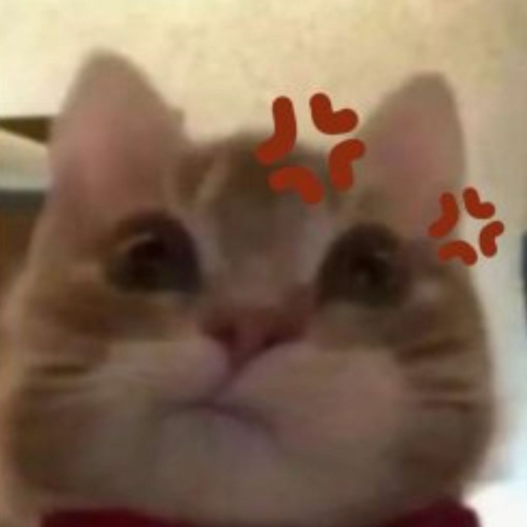 loulouzuigong's tweet photo. 七夕我还有我的玩具陪我啊，混蛋！

#伪娘 #cd #男の娘 #jk #白丝 https://t.co/ROo34GDErx