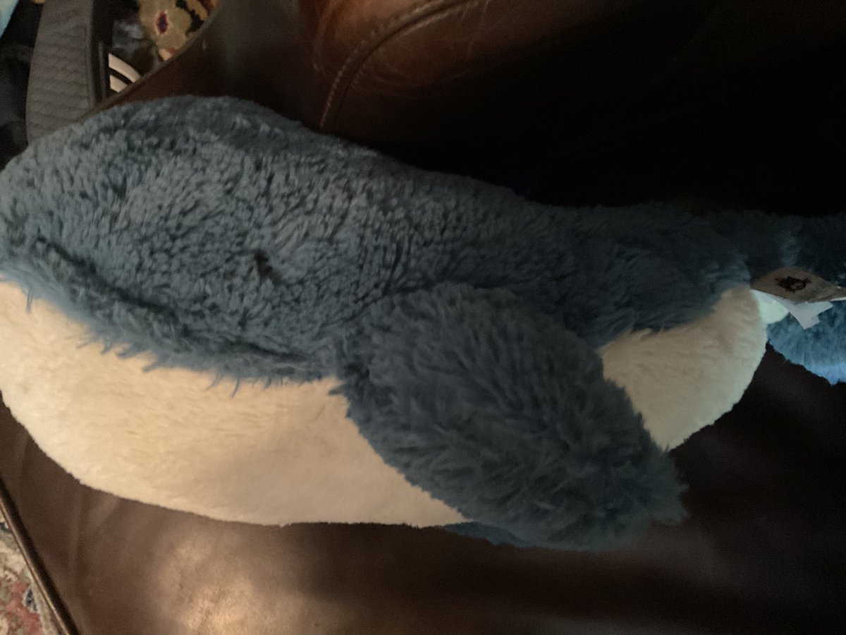 FreakyBrik's tweet photo. @cetaceanism this you? https://t.co/MGsgXcVQEu