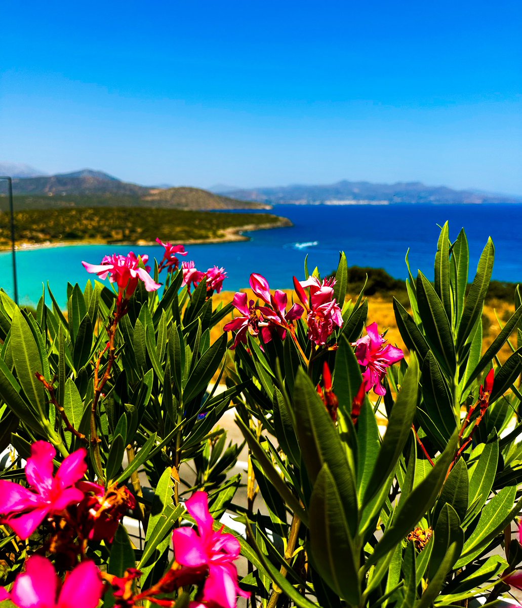 sysiudphoto's tweet photo. I miss Crete. I need another holidays. https://t.co/2QFi3Ltkm0