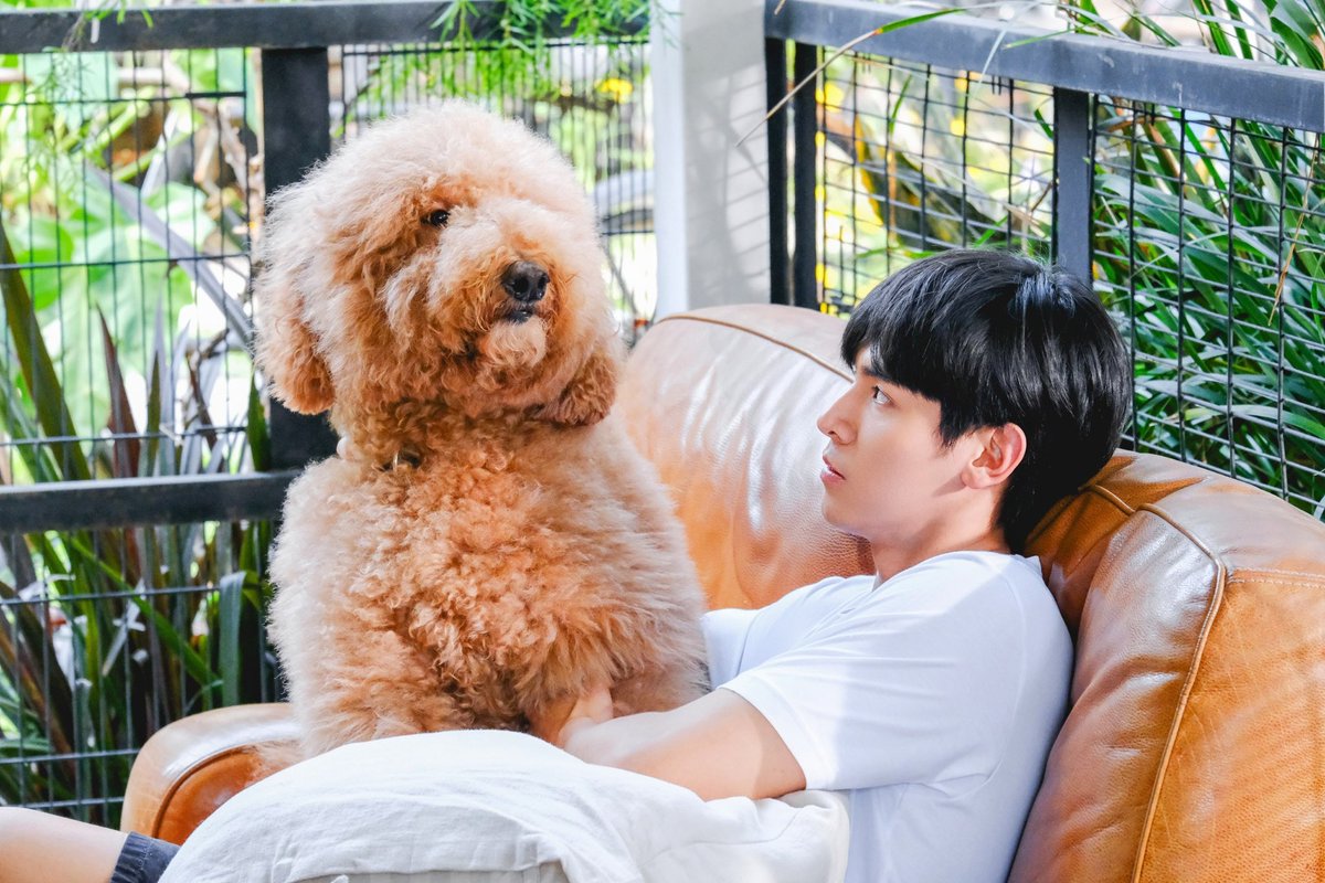 jaestsx's tweet image. เมื่อไหร่จะตอบจ้ะๆๆ

BeMineSuperStar EP8
#BMSSep8