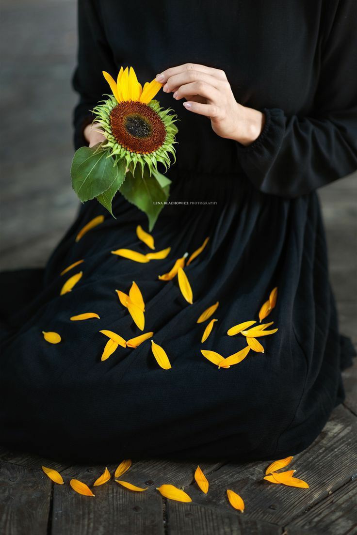 PoetisaMe01's tweet photo. ¡Me quieres,no me quieres!
Dejemos a la suerte y sin voz, 
deshojemos la flor,petalo a petalo
dejemos al azar,apostando 
al destino la ilusión del amor. 

#PoetísaMe https://t.co/SVUaS8vfSS