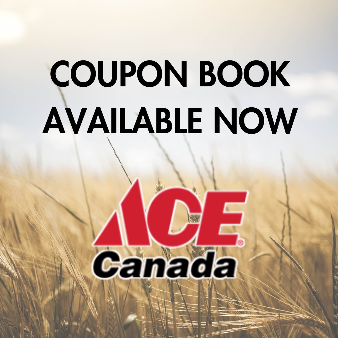 Ace Canada (@AceCanadaStores) / Posts / X