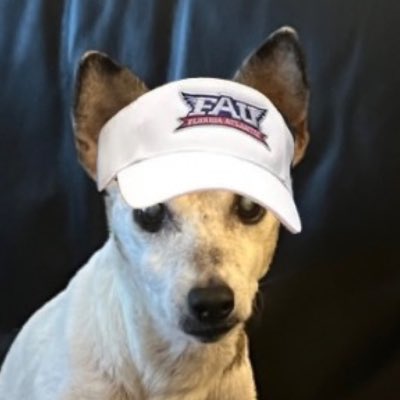 JakeElman97's tweet photo. It’s that time of year! #LongLiveJack #NewProfilePic @FAUFootball @FAU_Owls_Nest https://t.co/ARWuzjXch4