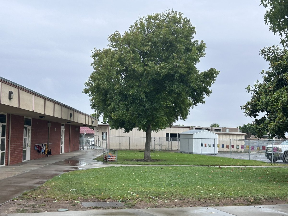 AMAZING response time this morning by the  <a href="/SBUSD_NEWS/">SBUSD NEWS</a> landscaping crew. It took only 1.5 hours from phone call to having huge broken tree branches hanging down to be cut out, cleaned up, and for our campus to be safer for our children! That’s how you #levelupSBUSD 💪🏻<a href="/ProsapioJ/">Joseph Prosapio</a>