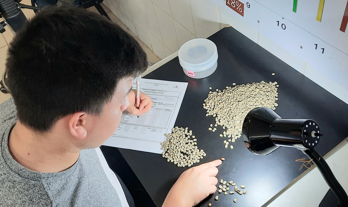 Este domingo culminaron 3 días intensivos de exámenes finales de la VII promoción de Catadores de Café sección Marcala; donde la mayoría de alumnos aprobaron con éxito sus exámenes; demostrando estar listos para el campo laboral de control de calidad de café.