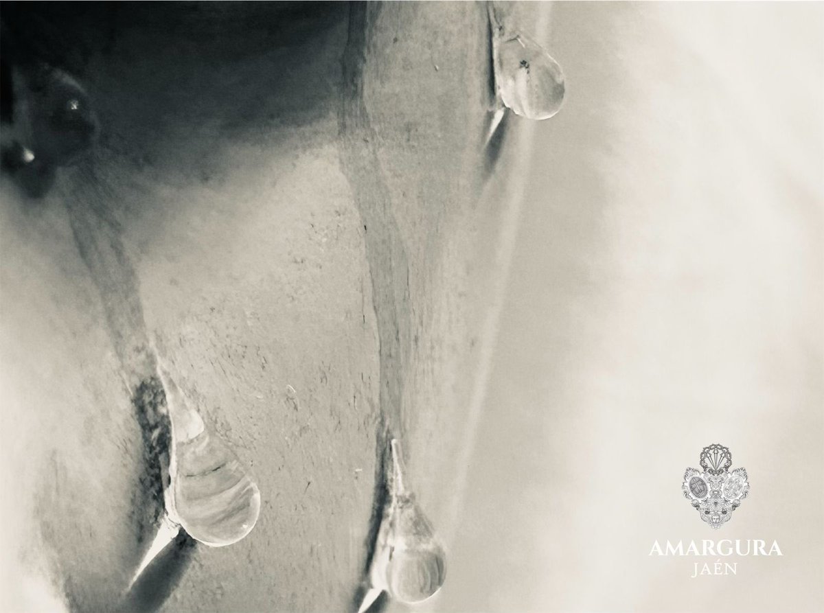 VUELVE LA AMARGURA | En apenas 24 horas, a las 18:30 horas de mañana martes 22 de Agosto de 2023, se abrirán las puertas del Salvador para poder contemplar de nuevo a la Reina de la Amargura en todo su esplendor.