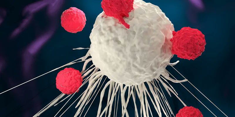 Activating CAR T cells only in the presence of an #antibody switch could make this #cancer treatment safer and more effective. Read more from <a href="/scrippsresearch/">Scripps Research</a> <a href="/DDNewslive/">DD News</a>  bit.ly/DNAScriptCART