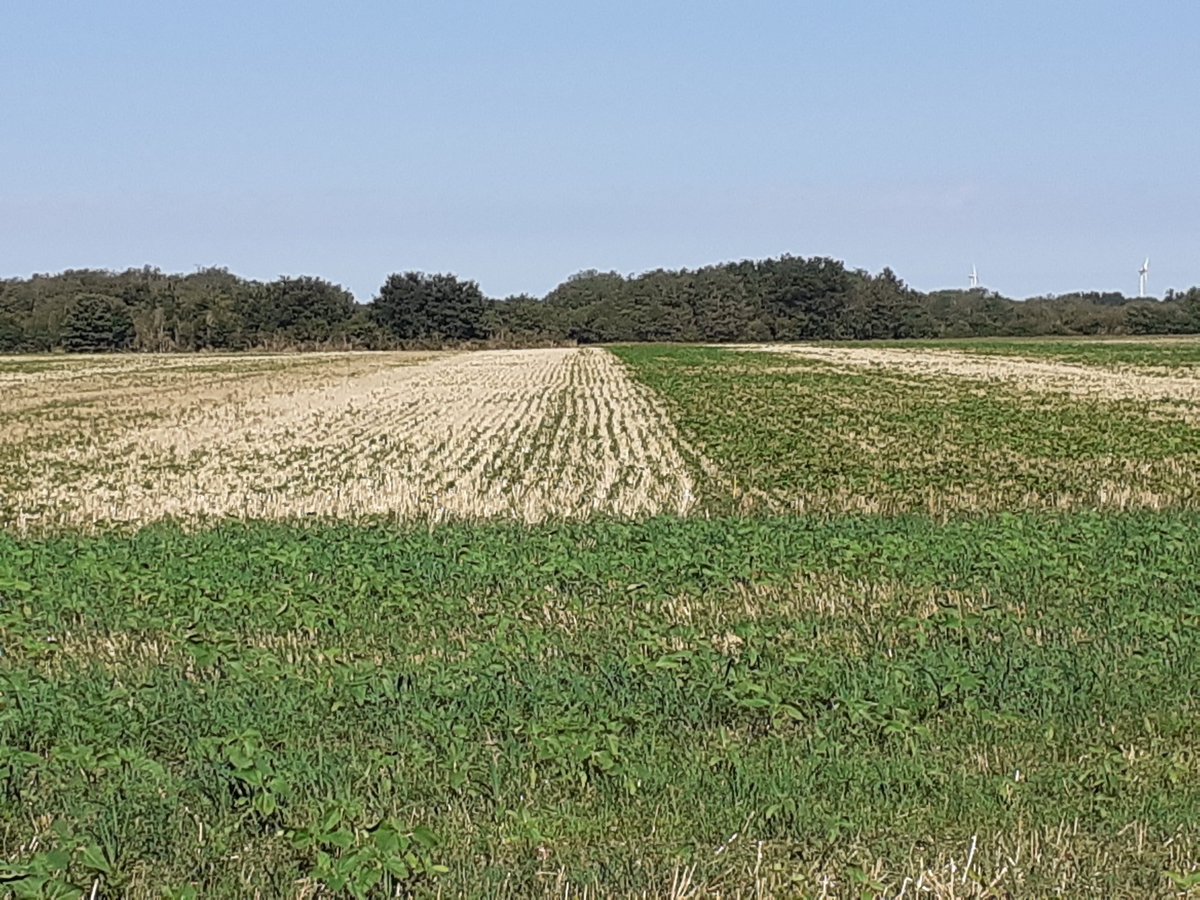 Groupe Sol Vivant 79 tweet media