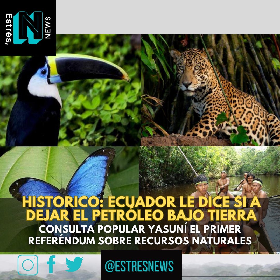 EstresNews's tweet photo. #ConsultaPopular 🇪🇨
El 58.99% de los ecuatorianos dijeron SI a acabar con el extractivismo del bloque 43 ITT del #Yasuní, a no abrir nuevos pozos y retirar las instalaciones llevando al Ecuador al comienzo de una transición ecológica para enfrentar la crisis climática.
#Ecologia https://t.co/4CmWK8bYPm