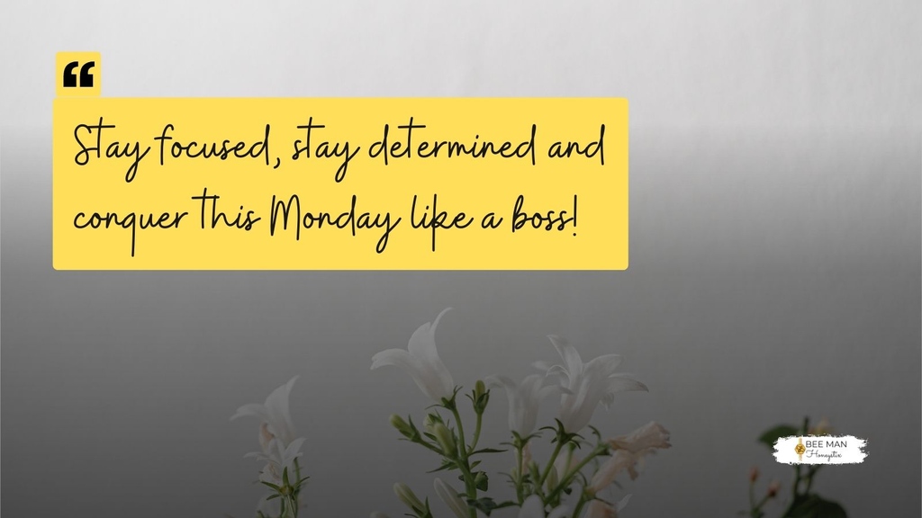 BeeManHoneystix's tweet photo. Start the week strong and make Monday your masterpiece! 💼✨
#BeeManHoneystix #Honeystick #Honey #PureHoney #BenefitsOfHoney #Honeystix #MondayMotivation #BossMindset #StayDriven #ConquerYourWeek #MotivatedMonday #StayFierce #DeterminedToSucceed https://t.co/2ayh2PqZ94
