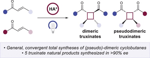 Tehshik Yoon (@tehshikyoon) on Twitter photo New paper! <a href="/GenzinkMatthew/">Matt Genzink</a> wasn't satisfied with showcasing his method with an enantio-, diastereo-, regio- and chemoselective synthesis of a cyclobutane natural product. So he made five. doi.org/10.1021/jacs.3⦠New paper! <a href="/GenzinkMatthew/">Matt Genzink</a> wasn't satisfied with showcasing his method with an enantio-, diastereo-, regio- and chemoselective synthesis of a cyclobutane natural product. So he made five. doi.org/10.1021/jacs.3ā¦