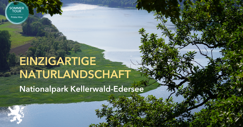 UmweltHessen's tweet photo. Nur indem wir besonders wertvolle #Ökosysteme wirksam schützen, können wir das #Artensterben und die #Klimakrise meistern. In #Hessen zählt hierzu vor allem der Nationalpark Kellerwald-Edersee. @PriskaHinz und @SteffiLemke (@BMUV) waren heute auf dem Knorreichenstieg unterwegs.