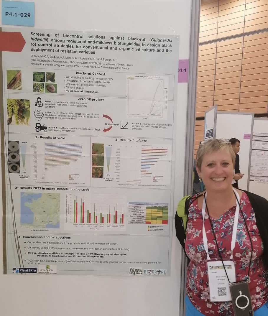 Ready for the first poster session (P4.1-029)<a href="/icpp2023/">ICPP2023</a> : results obtained on the screening of biocontrol solutions against grapevine black-rot.