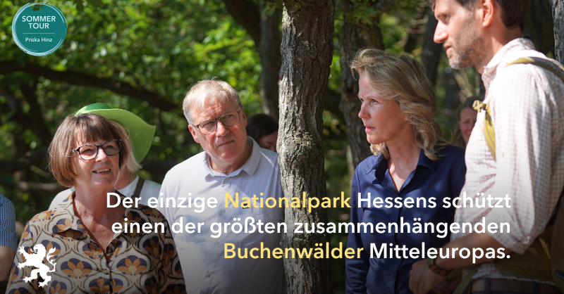 UmweltHessen's tweet photo. Nur indem wir besonders wertvolle #Ökosysteme wirksam schützen, können wir das #Artensterben und die #Klimakrise meistern. In #Hessen zählt hierzu vor allem der Nationalpark Kellerwald-Edersee. @PriskaHinz und @SteffiLemke (@BMUV) waren heute auf dem Knorreichenstieg unterwegs.