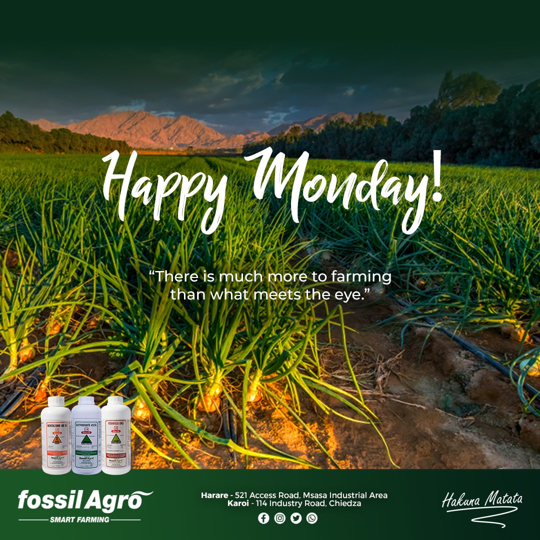 There are many Secrets behind the Success of most Farmers, but the Guarantee of the Quality Products we provide is Plain for all to See!

Happy Monday from Your Smart Farming Partner!

#fossilagro #smartfarming #hakunamatata #happymonday #farmingsecrets #happyfarming