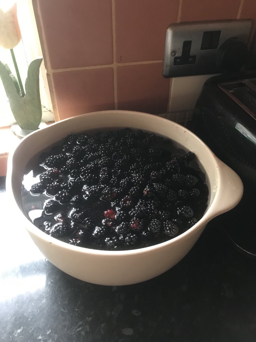 cornish_lobster's tweet photo. After the kicking I got from storm Betty, and more to sort tomorrow..🥴 thought a bit of picking with Molly will help the cause #SecondBowl 👍 https://t.co/F1tlswHFK6