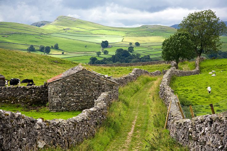 Country lane in the Yorkshire Dales. England. NMP.