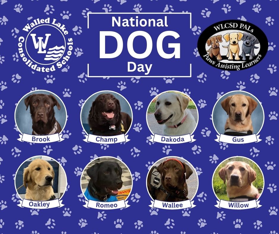 Happy National Dog Day! 🐶

We're so grateful to have these eight amazing pups in our district! Learn more about our therapy dog program ➡ wlcsd.org/programs/thera…