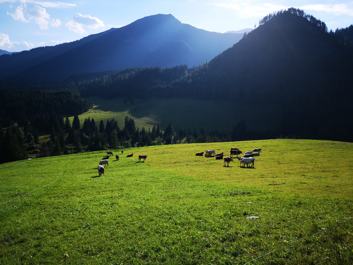 ChHolzemer's tweet photo. Durchschnaufen. #Urlaub #berge #natur #steiermark #trieben #hohentauern https://t.co/ewI6H6gs80