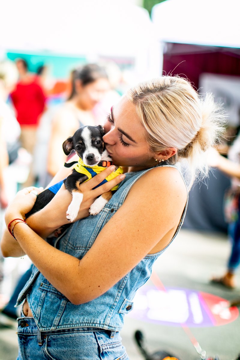 LJ Art & Wine Fest tweet media